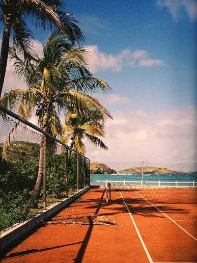 PARADISE COURTS Book