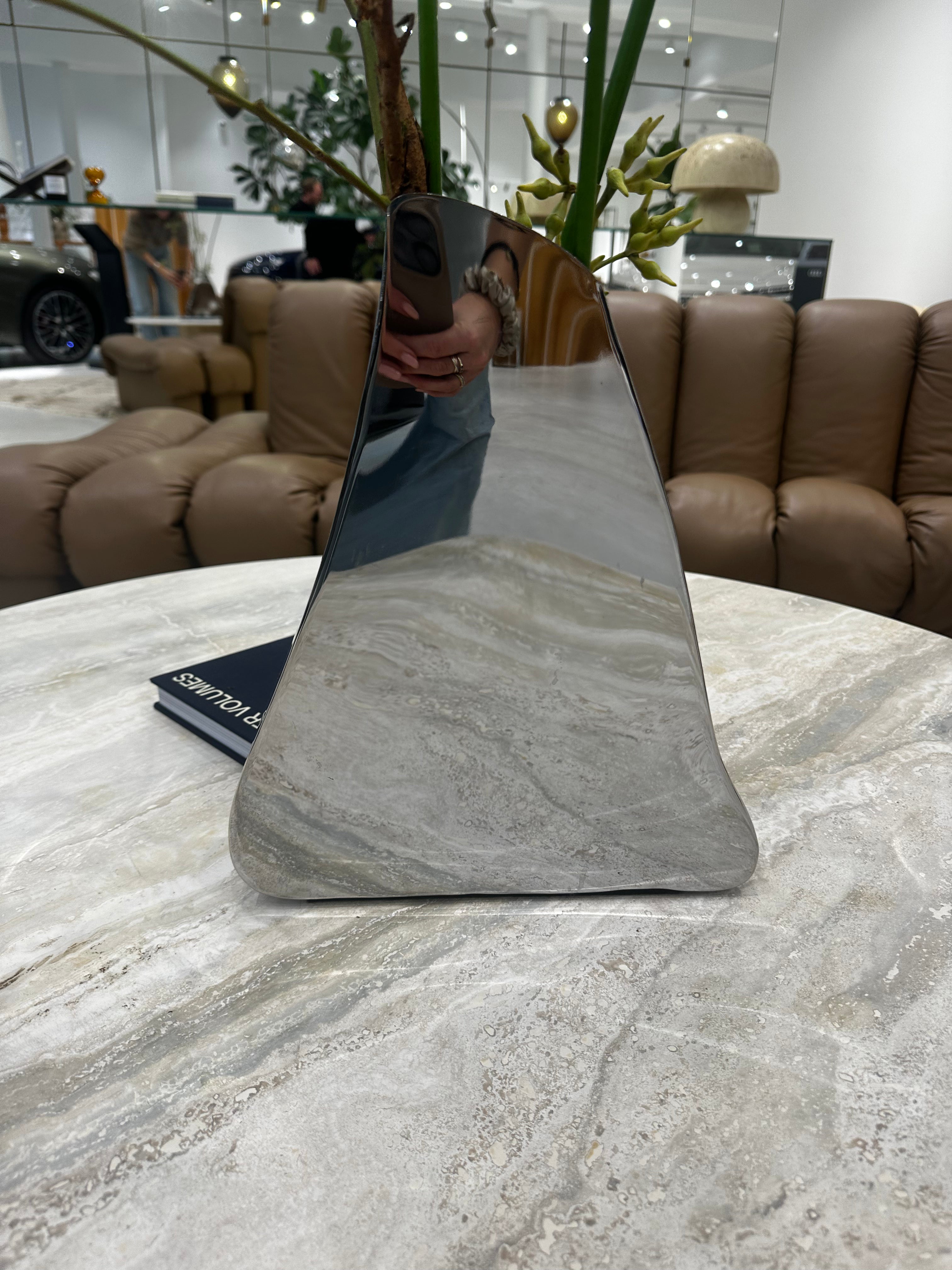 Zilvere organische vaas