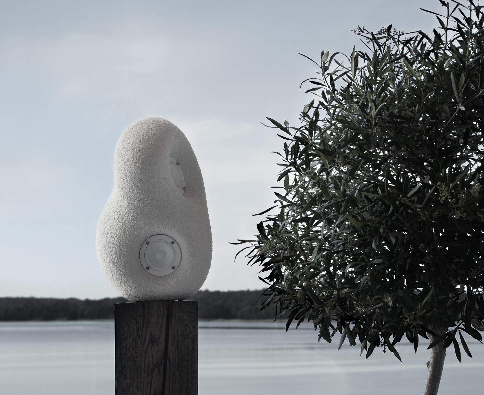 Acoustic Sculpture