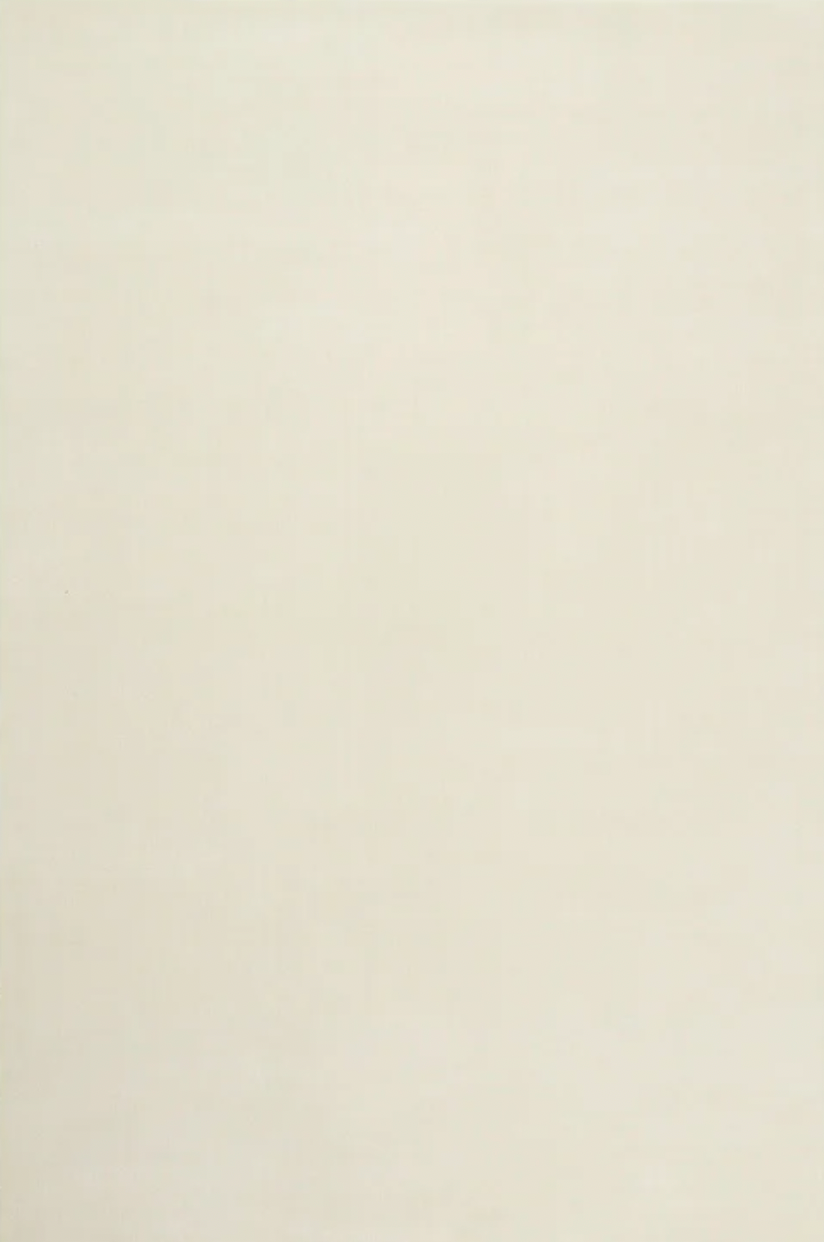 Grand Rug Dusty White