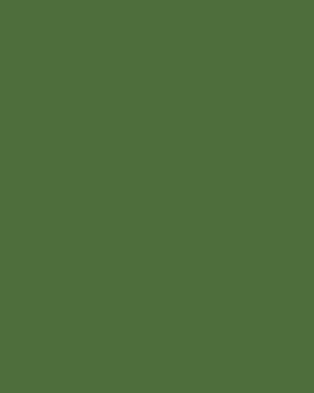 WOW makers - Bright tones