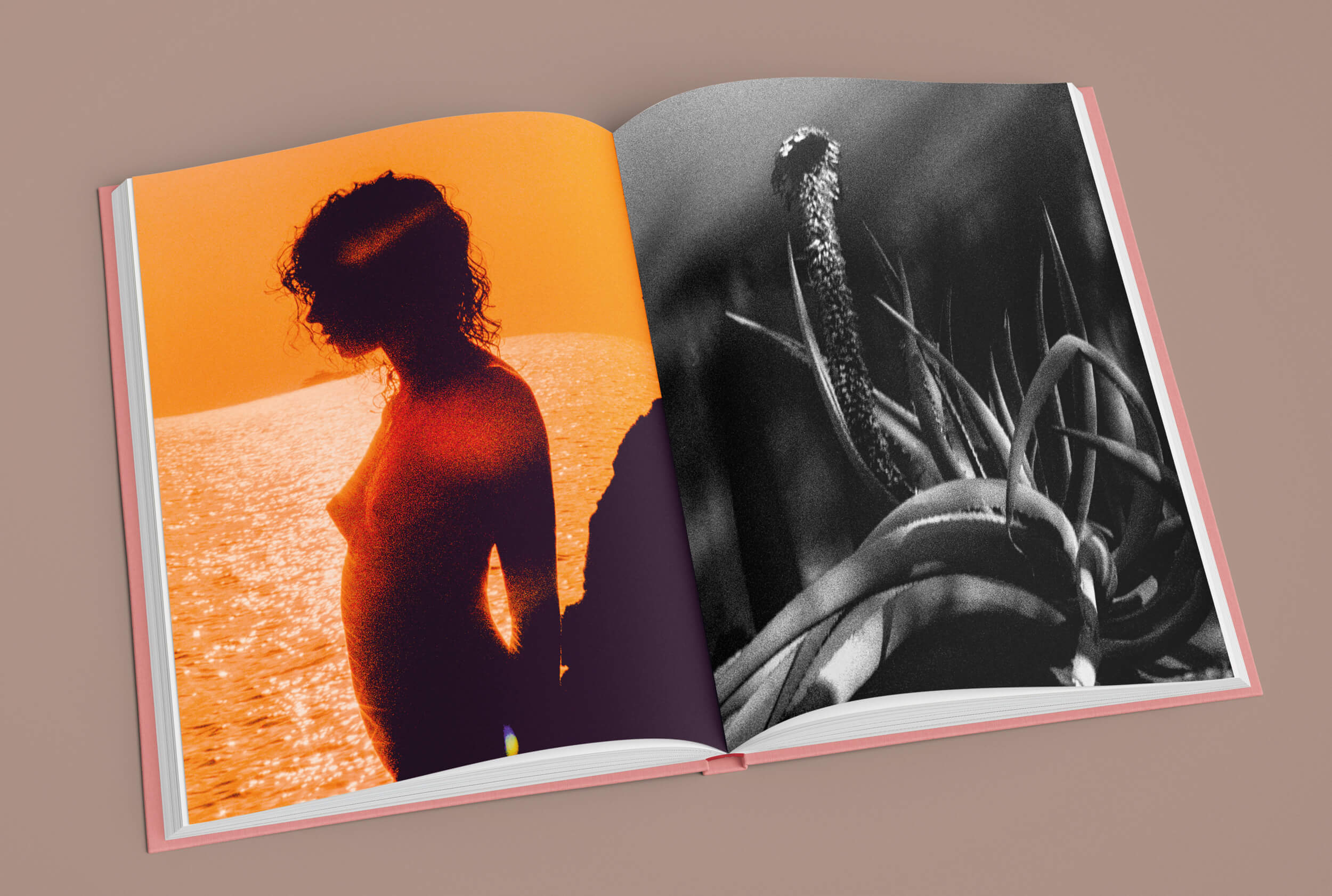 La Isla Mirage Edition No.1 / Kate Bellm