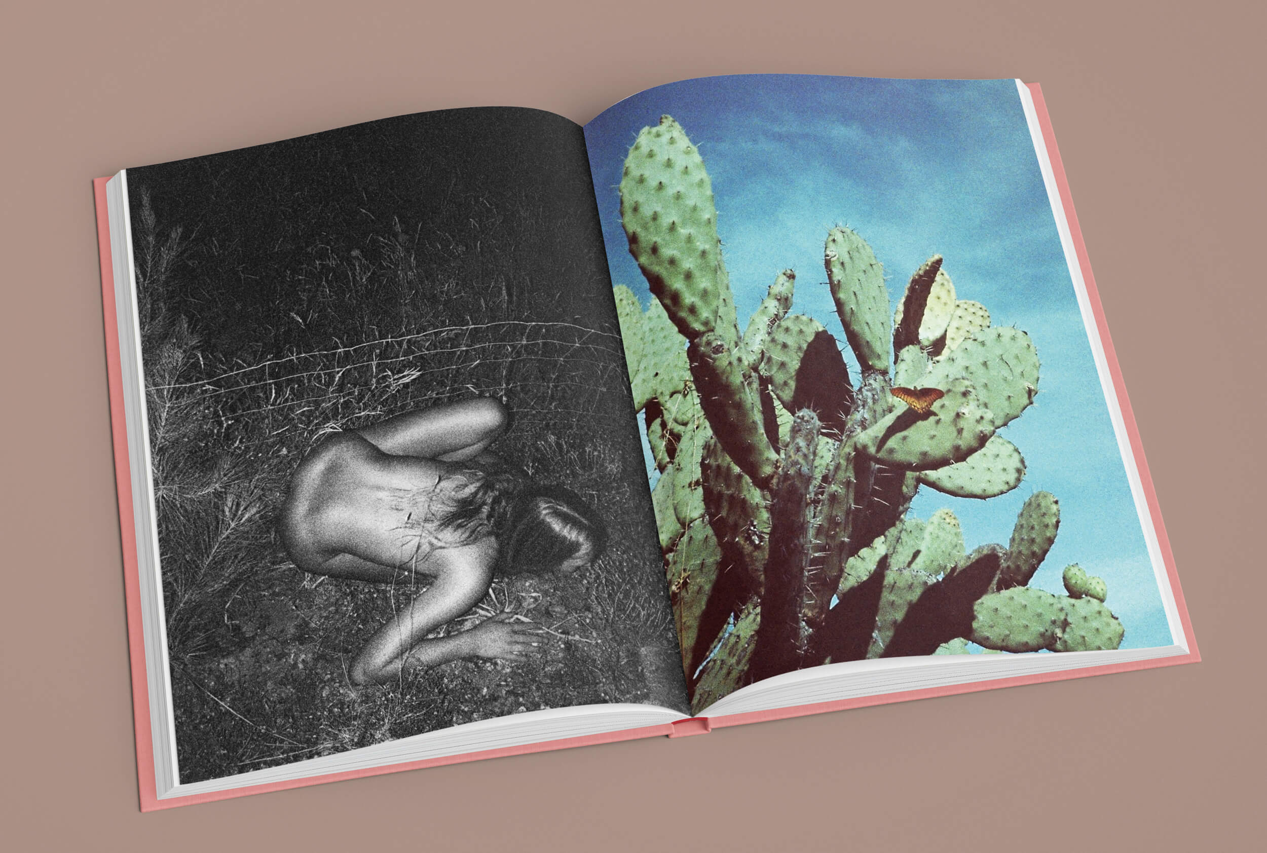 La Isla Mirage Edition No.1 / Kate Bellm