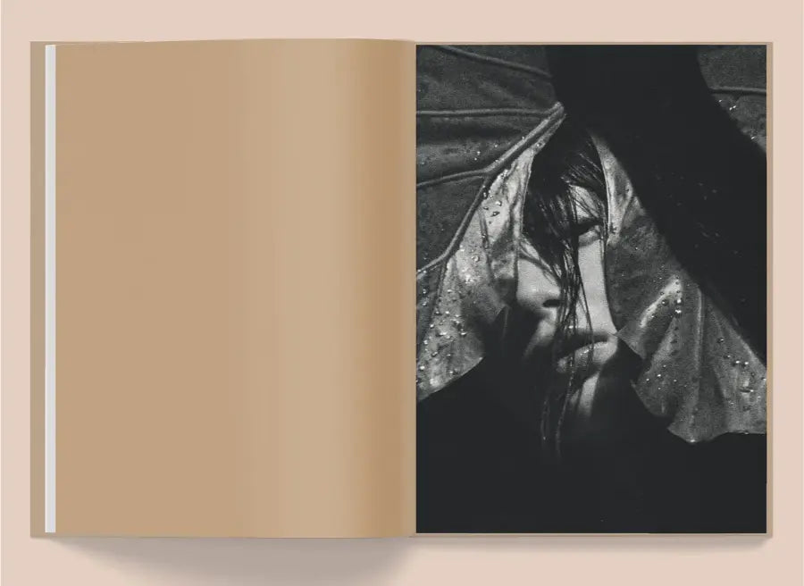 La Selva by Kate Bellm