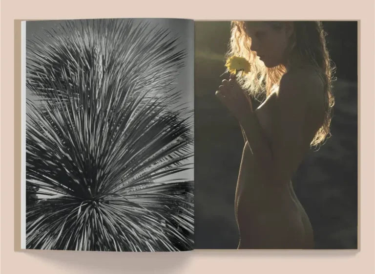 La Selva by Kate Bellm