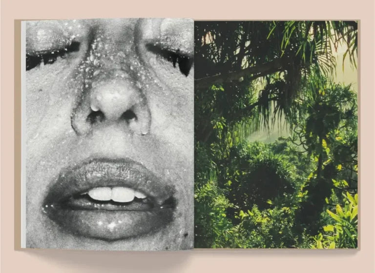 La Selva by Kate Bellm