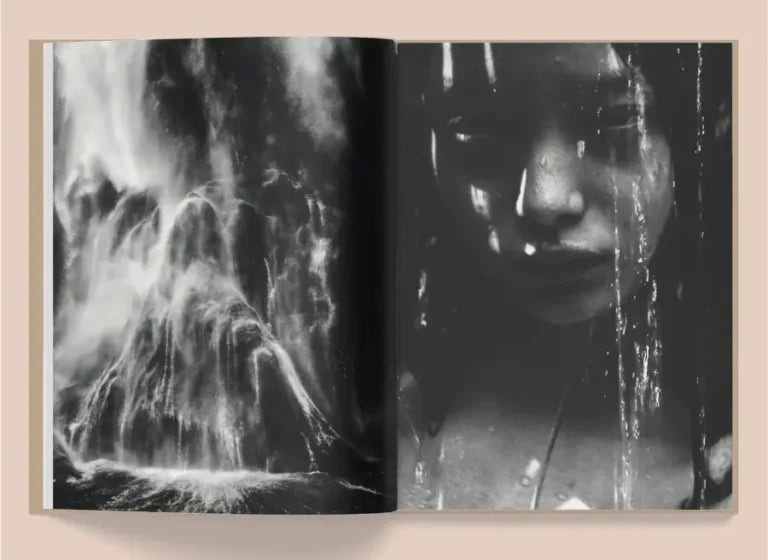 La Selva by Kate Bellm