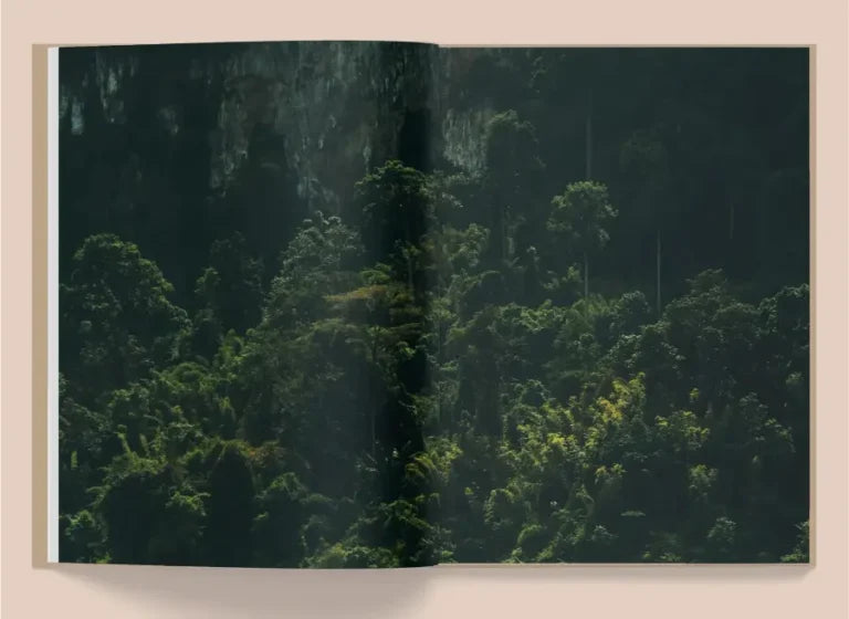 La Selva by Kate Bellm