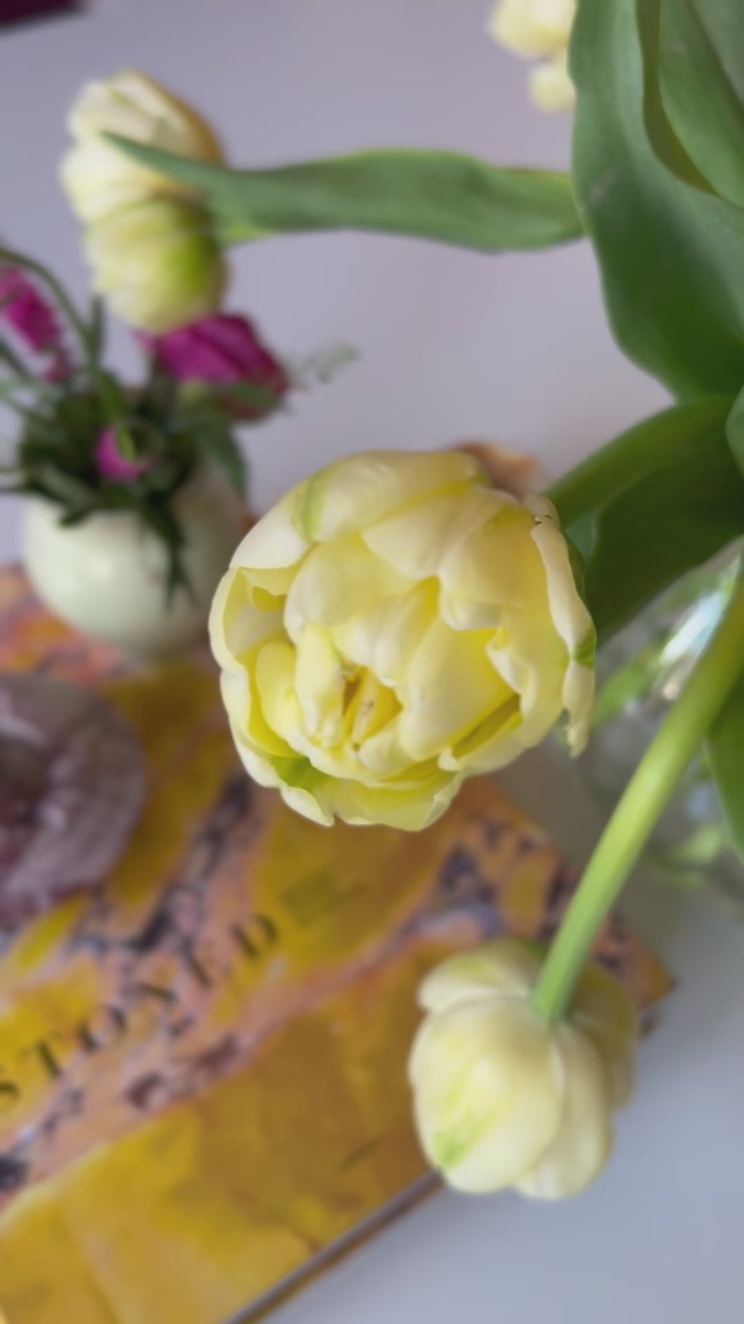 Load video: Murano Chandelier Frosted Tube