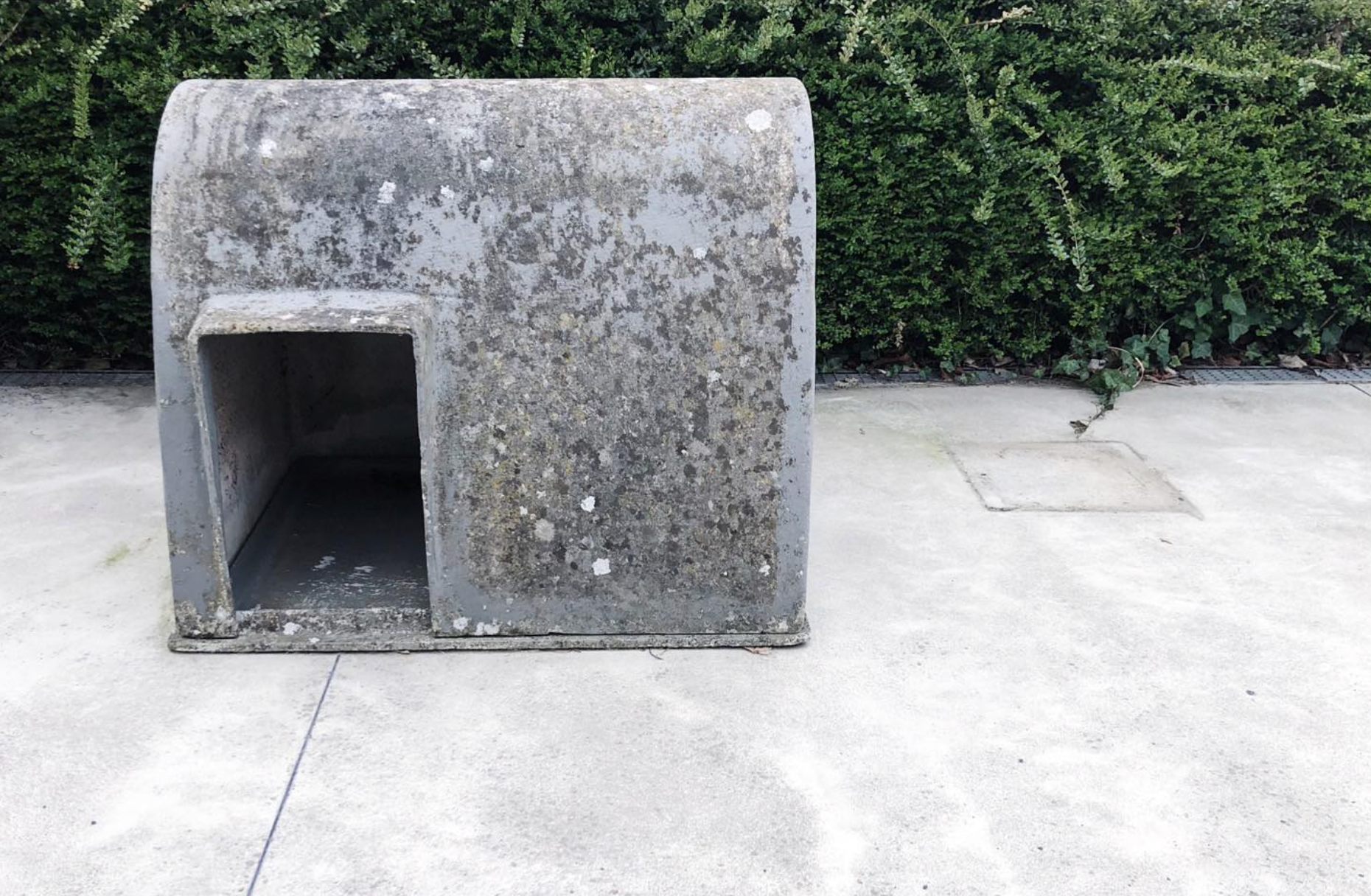 Brutalist Dog House by Willy Guhl